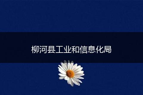 柳河县工业和信息化局