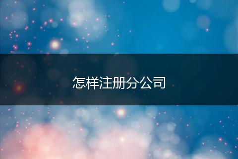 怎样注册分公司