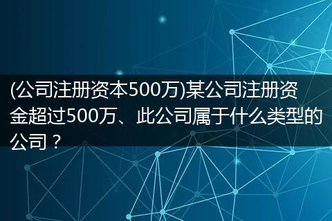 (公司注册资本500万)某公司注册资金超过500万、此公司属于什么类型的公司？