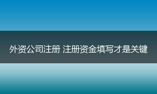 外资公司注册 注册资金填写才是关键