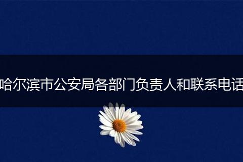 哈尔滨市公安局各部门负责人和联系电话