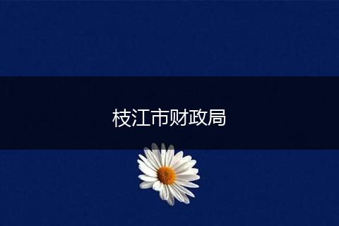 枝江市财政局