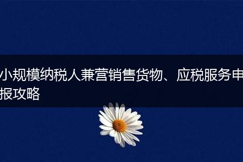小规模纳税人兼营销售货物、应税服务申报攻略