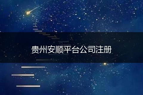 贵州安顺平台公司注册
