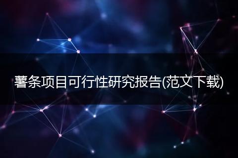 薯条项目可行性研究报告(范文下载)
