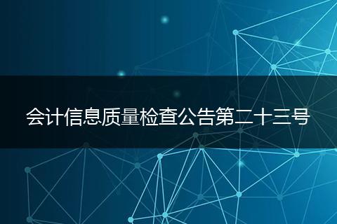 会计信息质量检查公告第二十三号