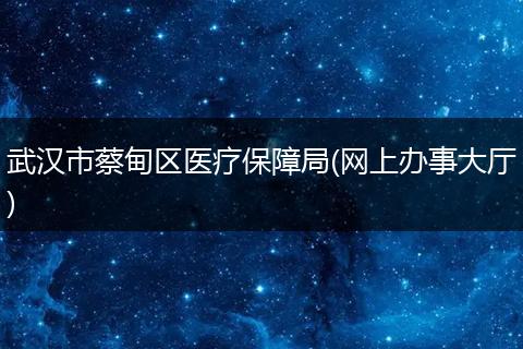 武汉市蔡甸区医疗保障局(网上办事大厅)
