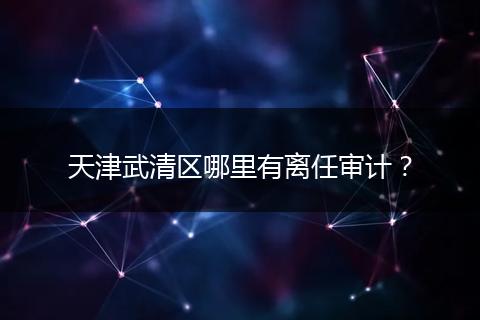 天津武清区哪里有离任审计？
