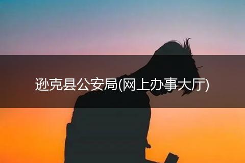 逊克县公安局(网上办事大厅)