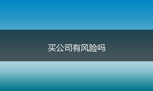 买公司有风险吗