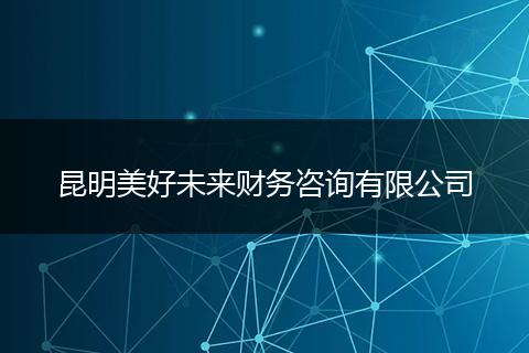 昆明美好未来财务咨询有限公司