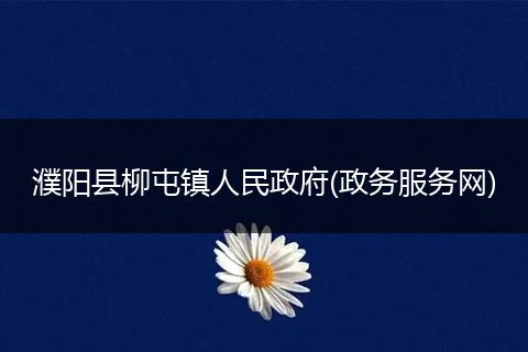 濮阳县柳屯镇人民政府(政务服务网)