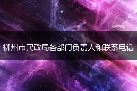 柳州市民政局各部门负责人和联系电话