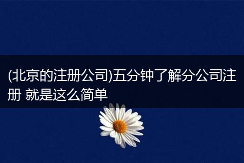 (北京的注册公司)五分钟了解分公司注册 就是这么简单