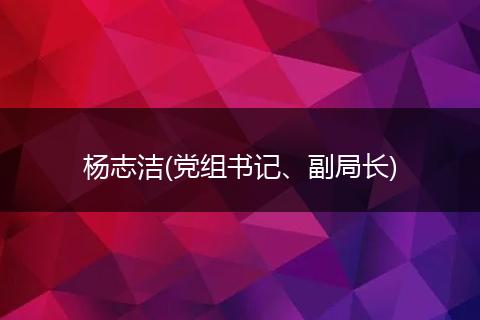 杨志洁(党组书记、副局长)