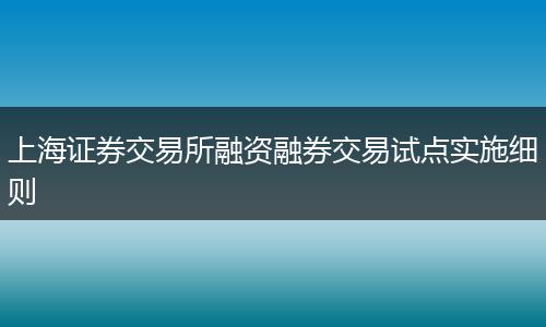 上海证券交易所融资融券交易试点实施细则