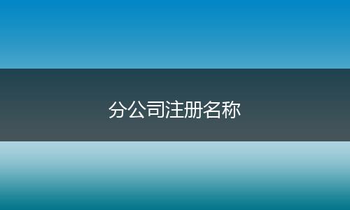 分公司注册名称