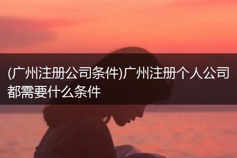 (广州注册公司条件)广州注册个人公司都需要什么条件