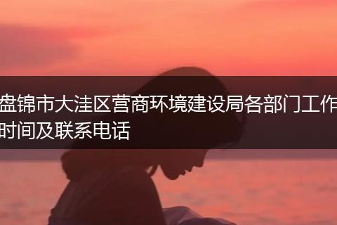 盘锦市大洼区营商环境建设局各部门工作时间及联系电话