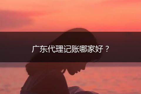 广东代理记账哪家好?