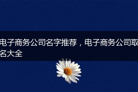 电子商务公司名字推荐，电子商务公司取名大全