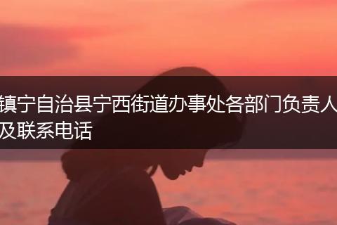 镇宁自治县宁西街道办事处各部门负责人及联系电话