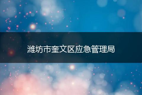 潍坊市奎文区应急管理局