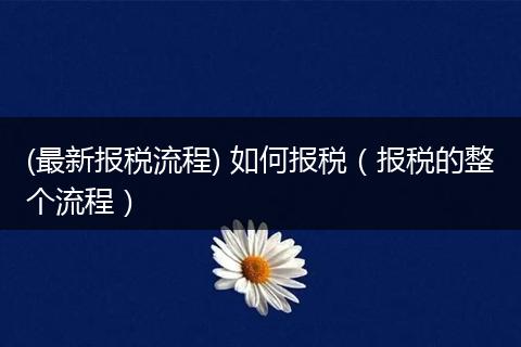 (最新报税流程) 如何报税（报税的整个流程）