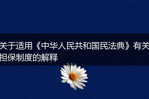 关于适用《中华人民共和国民法典》有关担保制度的解释