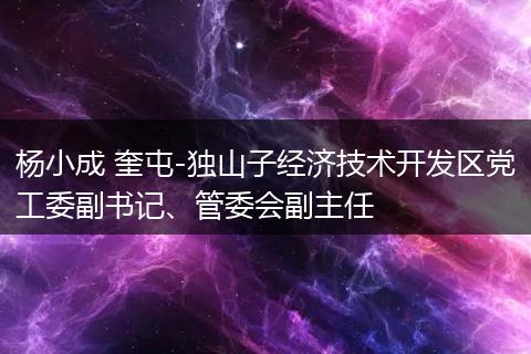 杨小成 奎屯-独山子经济技术开发区党工委副书记、管委会副主任