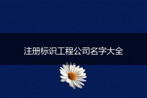 注册标识工程公司名字大全