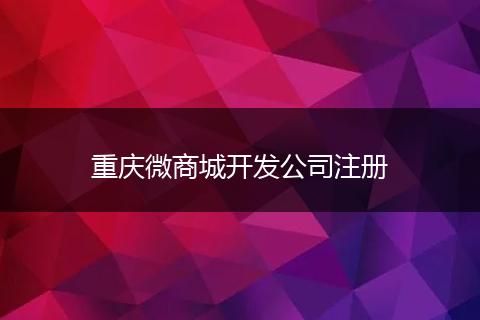 重庆微商城开发公司注册