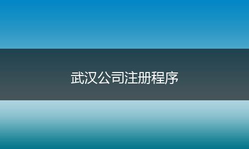 武汉公司注册程序