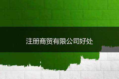 注册商贸有限公司好处