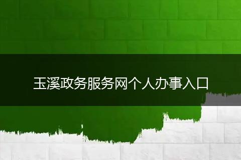 玉溪政务服务网个人办事入口