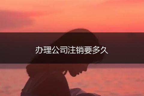 办理公司注销要多久