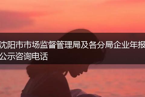沈阳市市场监督管理局及各分局企业年报公示咨询电话