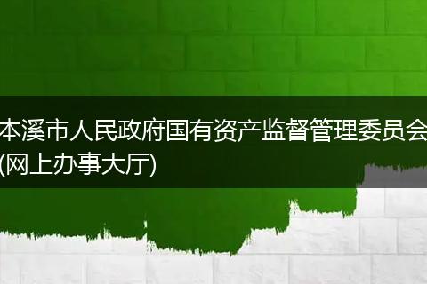 本溪市人民政府国有资产监督管理委员会(网上办事大厅)
