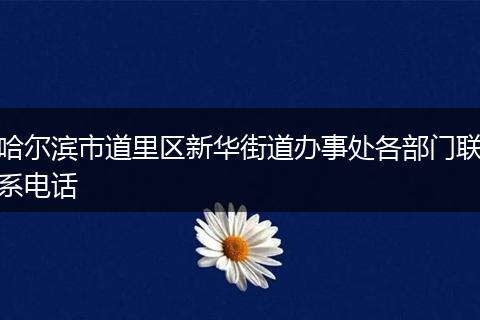 哈尔滨市道里区新华街道办事处各部门联系电话