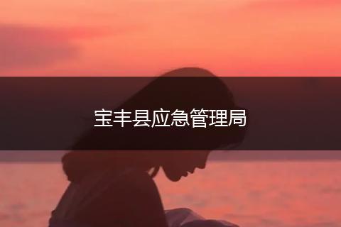 宝丰县应急管理局