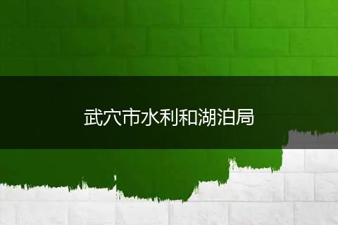 武穴市水利和湖泊局