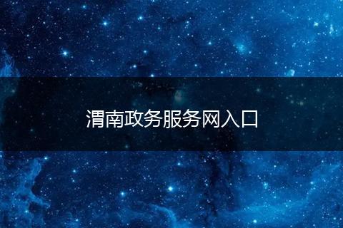 渭南政务服务网入口