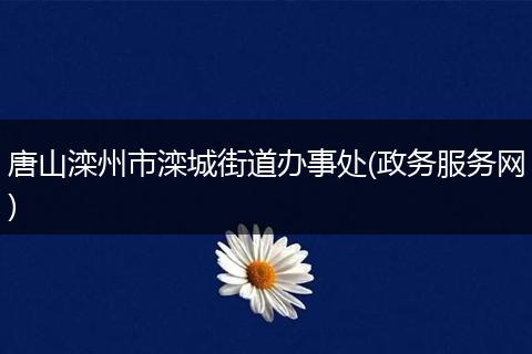 唐山滦州市滦城街道办事处(政务服务网)