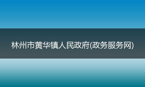 林州市黄华镇人民政府(政务服务网)