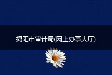 揭阳市审计局(网上办事大厅)