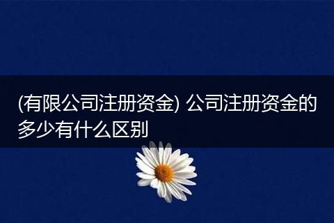 (有限公司注册资金) 公司注册资金的多少有什么区别