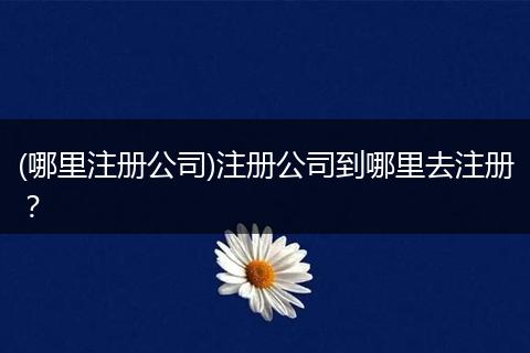 (哪里注册公司)注册公司到哪里去注册?