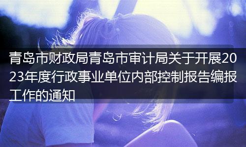 青岛市财政局青岛市审计局关于开展2023年度行政事业单位内部控制报告编报工作的通知