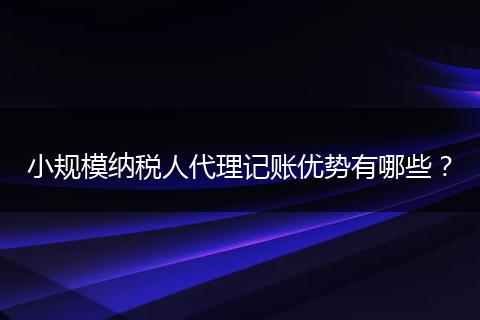 小规模纳税人代理记账优势有哪些？