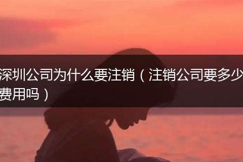 深圳公司为什么要注销（注销公司要多少费用吗）